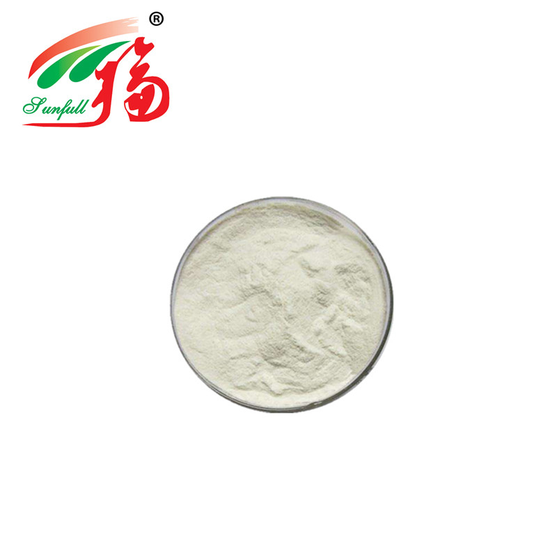 Garlic Extract 0.2% Allicin For Animal Food Herbal Plant Extract