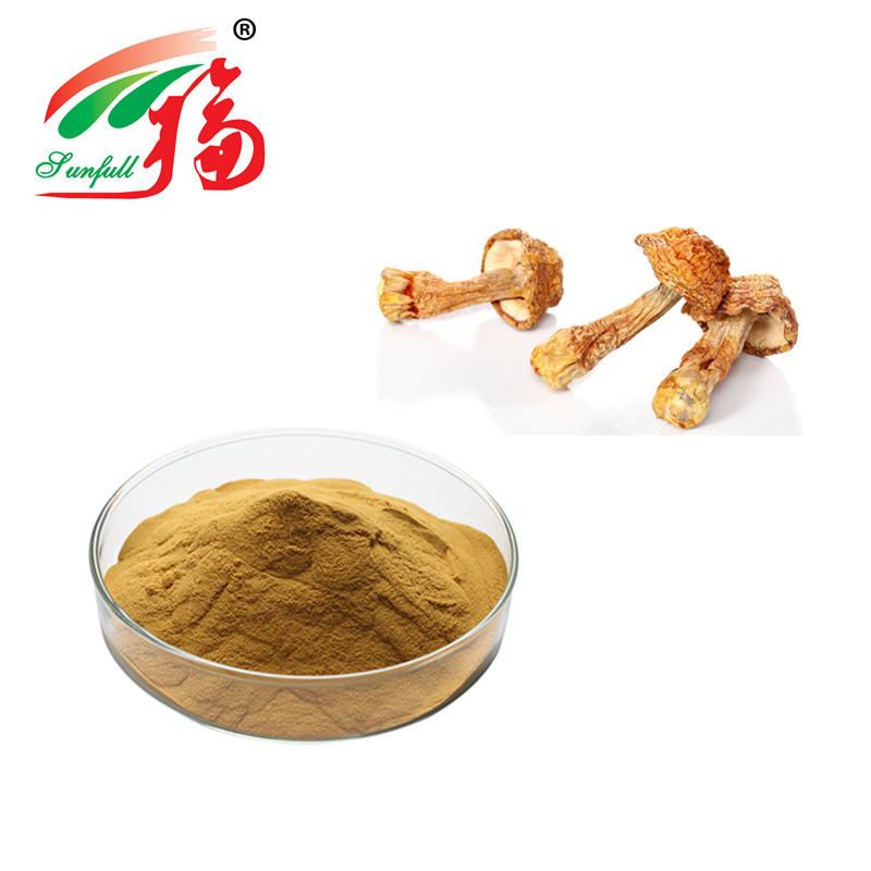 Agaricus Blazei Extract 10%-50% Polysaccharides Enhance Immunity Mushroom Extract