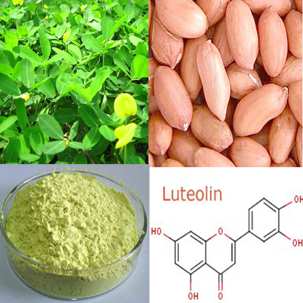 Luteolin