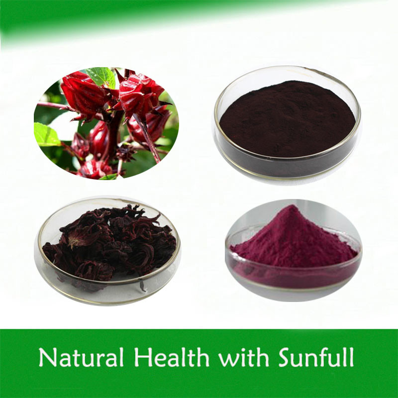 Highly Concentrated Anthocyanin Extract Powder from Dried Hibiscus Flower