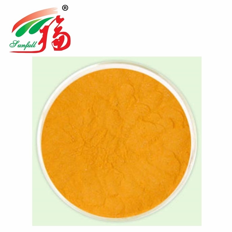 Turmeric Extract 95% Curcumins For Pharmaceutical Stuff And Food Additives