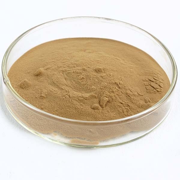 Coriolus Versicolor Extract 10%~50% Polysacchrides PSK PSP Turkey tail Mushroom Extract