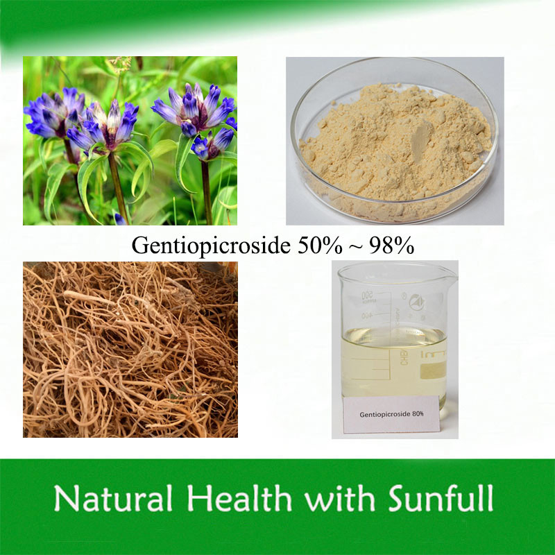 Gentiana Scabra Extract Gentiopicroside 50%-98% Gentiopicrin CAS No 20831-76-9 Cosmetics Ingredient