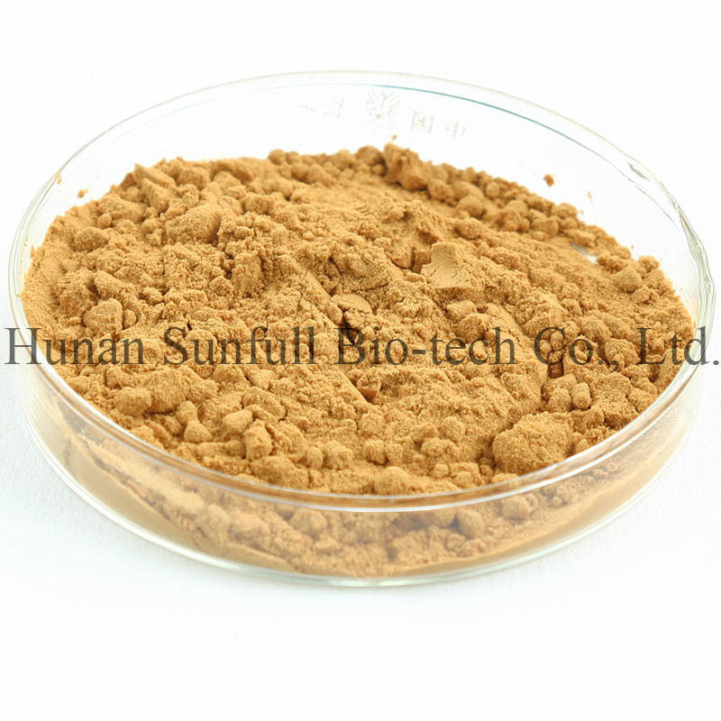 100% Natural Milk Thistle Extract Powder From Silybum Marianum Seeds For Liver Cell Growth