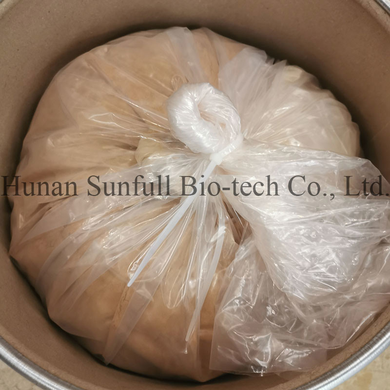 Ginkgo Biloba Leaf Extract 24/6 CAS 90045-36-6 Cp USP561 Ep EC396