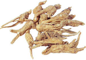 Swordlike Atractylodes Rhizome Extract 10 : 1——The Gold Standard For Blood Vitality & Women’S Wellness