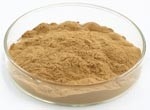 20:1 Aloe Vera Extract Aloe Vera Gel Freeze Dried Powder for Cosmetics