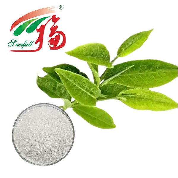 Ultimate Antioxidant Power! 98%  EGCG Green Tea Extract - Nature's Shield For Vitality