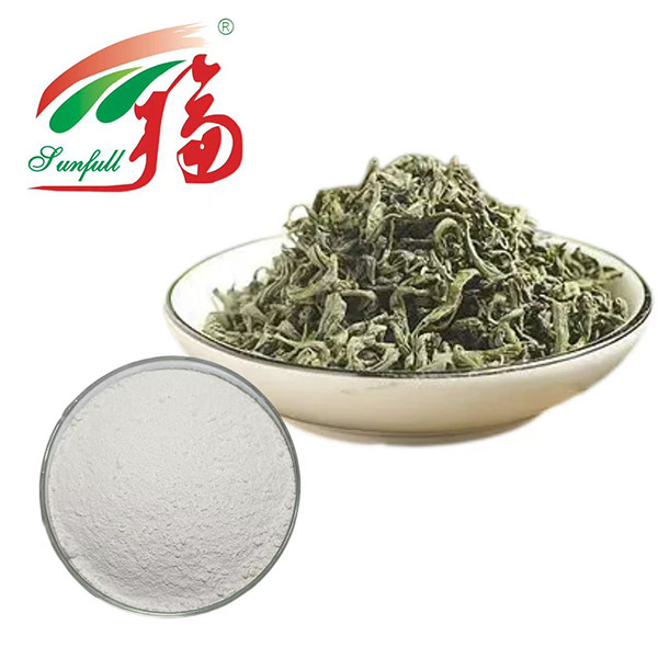 Ultimate Antioxidant Power! 98%  EGCG Green Tea Extract - Nature's Shield For Vitality