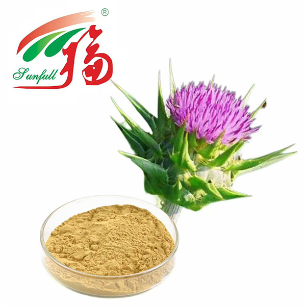40% Silymarin Milk Thistle Extract: Trusted, High-Yield Ingredient For Premium Liver Care Solutions