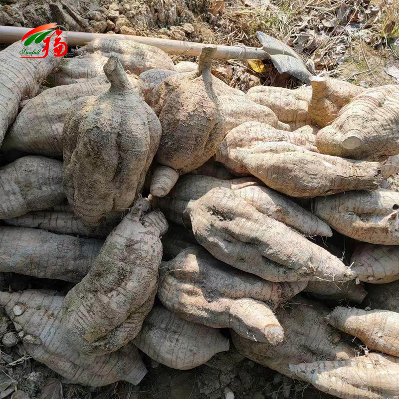 China Factory Natural Kudzu Root Extract Puerarin With 25% 60% 98% For Option