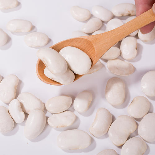 Premium White Kidney Bean Extract (Phaseolus Vulgaris) - High Purity α-Amylase Inhibitor for Weight & Blood Sugar Management