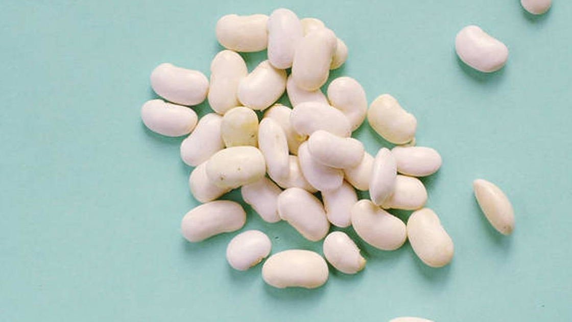 Premium White Kidney Bean Extract (Phaseolus Vulgaris) - High Purity α-Amylase Inhibitor for Weight & Blood Sugar Management