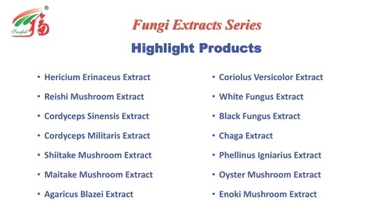 Chaga Mushroom Extract Powder 25kg/Drum 100mt/Year Production Capacity for Health Care Products