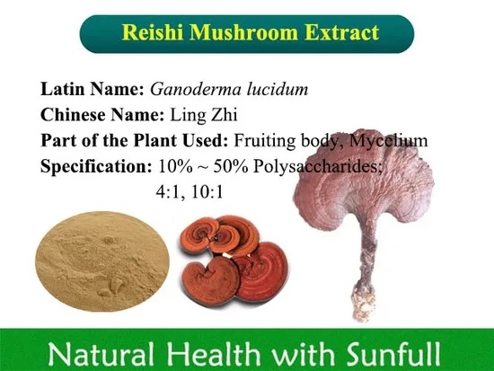 ISO9001 Certified Reishi Mushroom Extract 40% Polysaccharides Fine Brown Yellow Powder for Immunity Enhancement