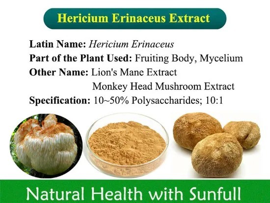 Hericium Erinaceus Extract 20% Polysaccharides Fine Brown Yellow Powder for Gastric Health Support in Tablet and Capsule Applications