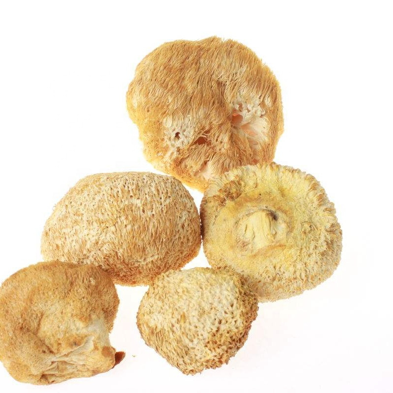Hericium Erinaceus Extract 20% Polysaccharides Fine Brown Yellow Powder for Gastric Health Support in Tablet and Capsule Applications