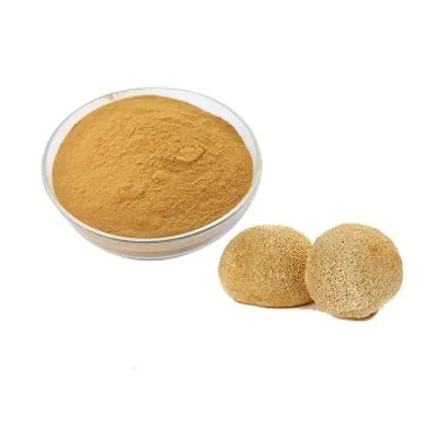 Hericium Erinaceus Extract 20% Polysaccharides Fine Brown Yellow Powder for Gastric Health Support in Tablet and Capsule Applications