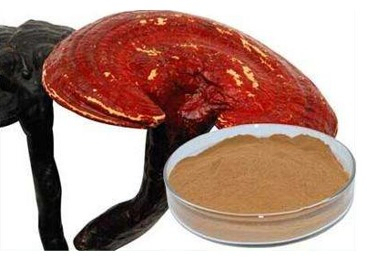 Reishi Mushroom Extract 50% Polysaccharides from Fruiting Body for Functional Food and Health Care Products