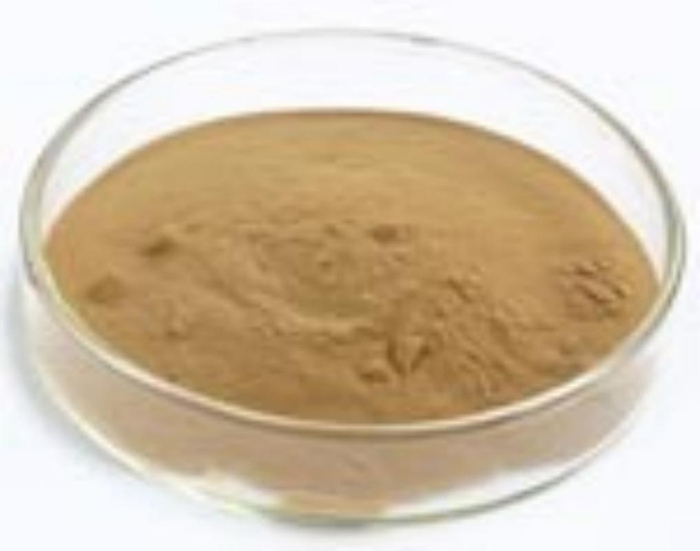 ISO9001 Certified Reishi Mushroom Extract 40% Polysaccharides Fine Brown Yellow Powder for Immunity Enhancement
