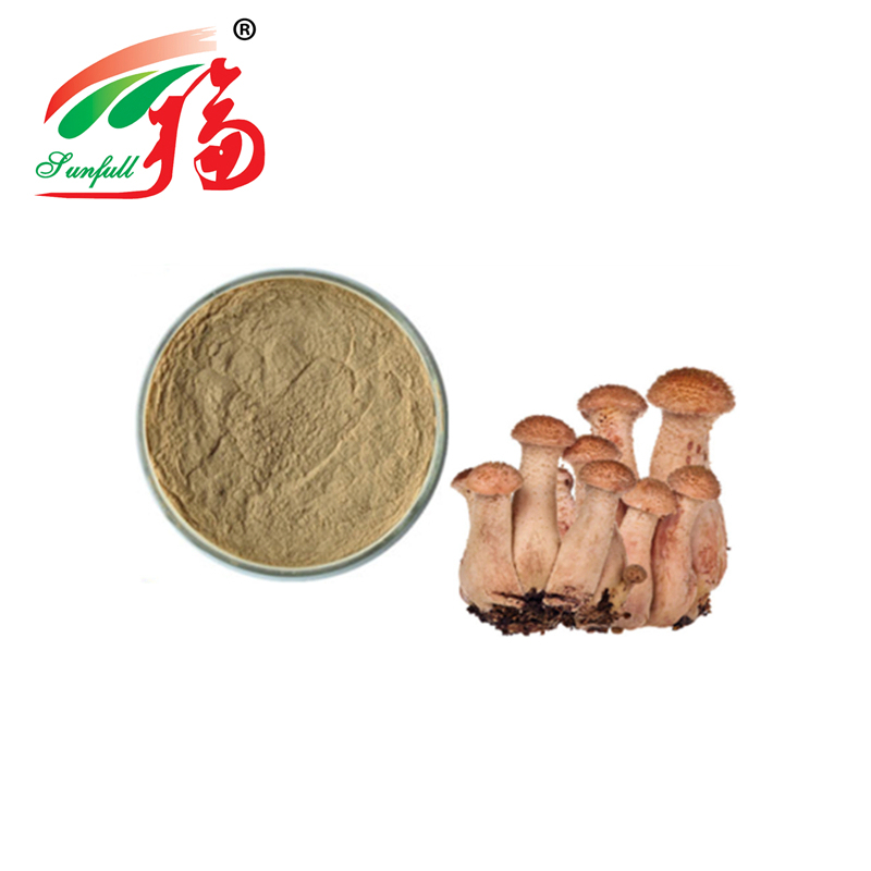 Fine Brown Yellow Powder Honey Agaric Extract with Good Solubility in Water for Food Grade Applications