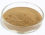 Reishi Mushroom Extract 10% Polysaccharides Fine Brown Yellow Powder for Health Care Products to Enhance Immunity