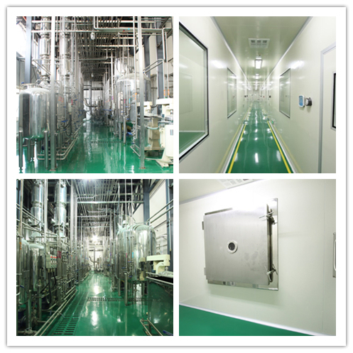 Morchella Esculenta Extract Powder with 100% Through 80 Mesh 2 Years Lifetime and 20t/Year Production Capacity