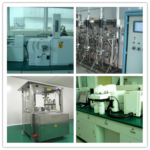 Morchella Esculenta Extract Powder with 100% Through 80 Mesh 2 Years Lifetime and 20t/Year Production Capacity