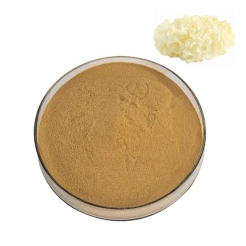 Food Grade White Fungus Extract 30% Polysaccharides Soluble in Water Fine Brown Yellow Powder for Functional Food
