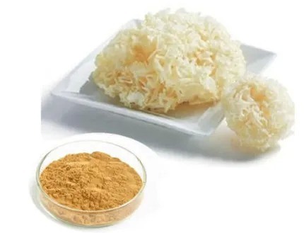 White Fungus Extract 40% Polysaccharides Food Grade Soluble in Water for Functional Food and Health Care Products