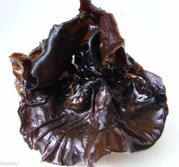 Black Fungus Extract Powder with 20% Polysaccharides Soluble in Water for Regulating Blood Sugar and Hypolipidemic Functional Food