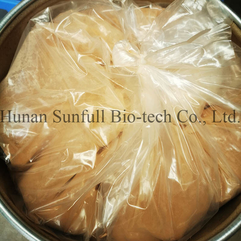 Berberine Hydrochloride 97% 98% Yellow Crystalline Powder with Antibacterial and Anti-inflammatory Properties from Phellodendron chinense Extract