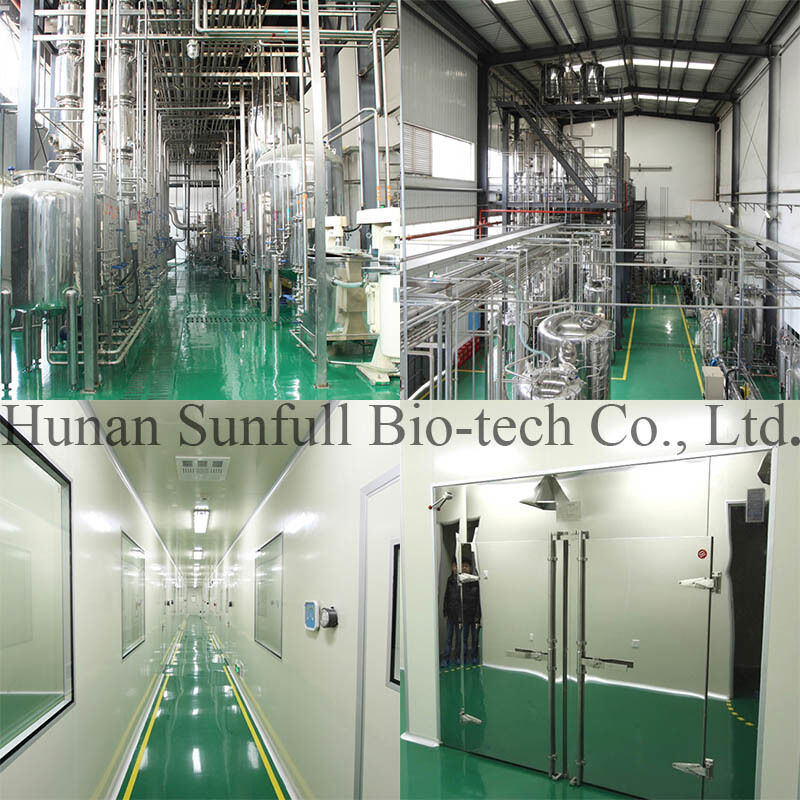 Berberine Hydrochloride 97% 98% Yellow Crystalline Powder with Antibacterial and Anti-inflammatory Properties from Phellodendron chinense Extract