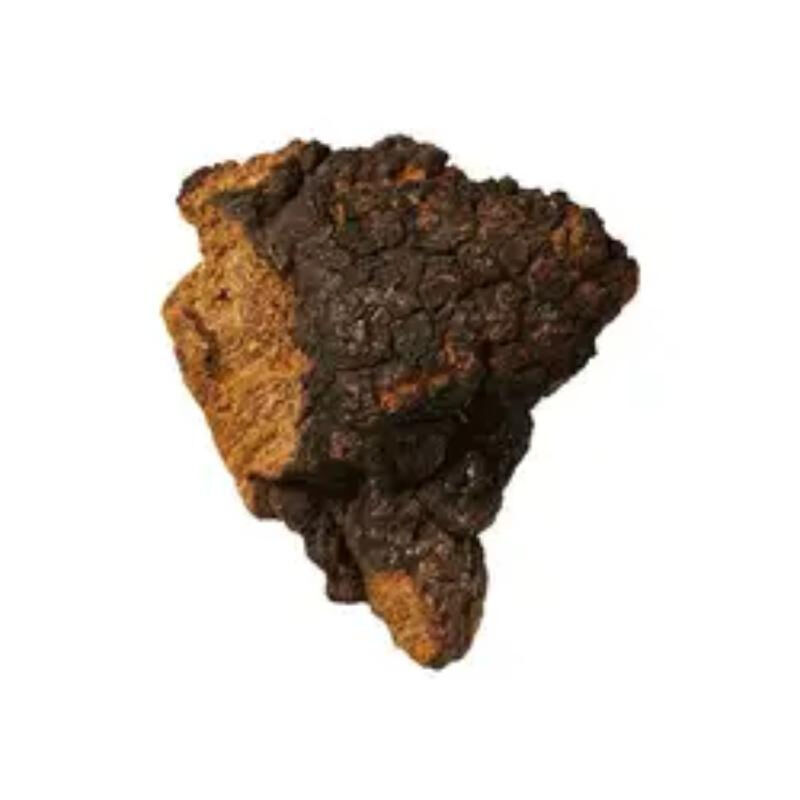 Chaga Extract 20% Polysaccharides for Functional Food to Enhance Immunity as Mushroom Extract Powder