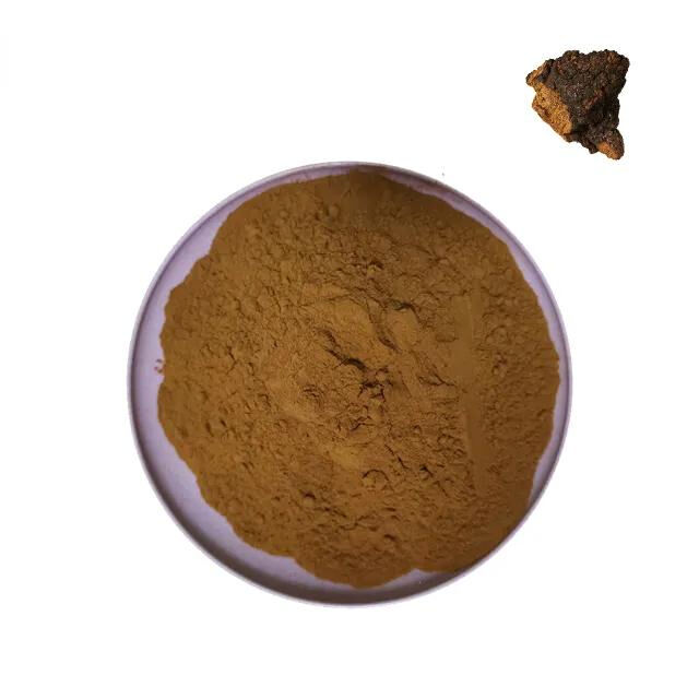 Chaga Extract 30% Polysaccharides Fine Brown Yellow Powder for Functional Food and Health Care Products
