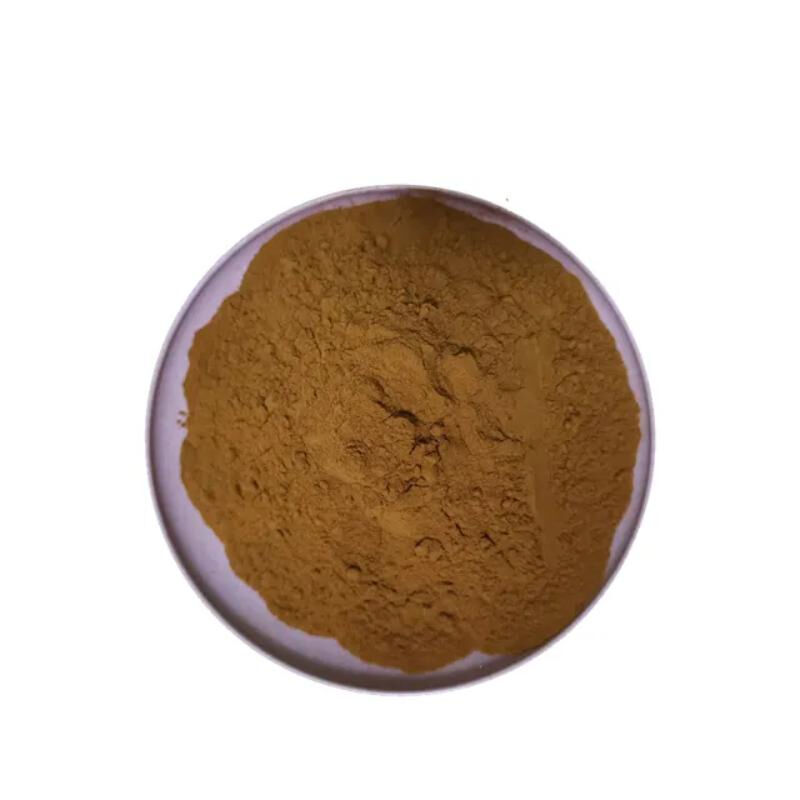 Chaga Extract 50% Polysaccharides for Functional Food to Enhance Immunity as Mushroom Extract Powder