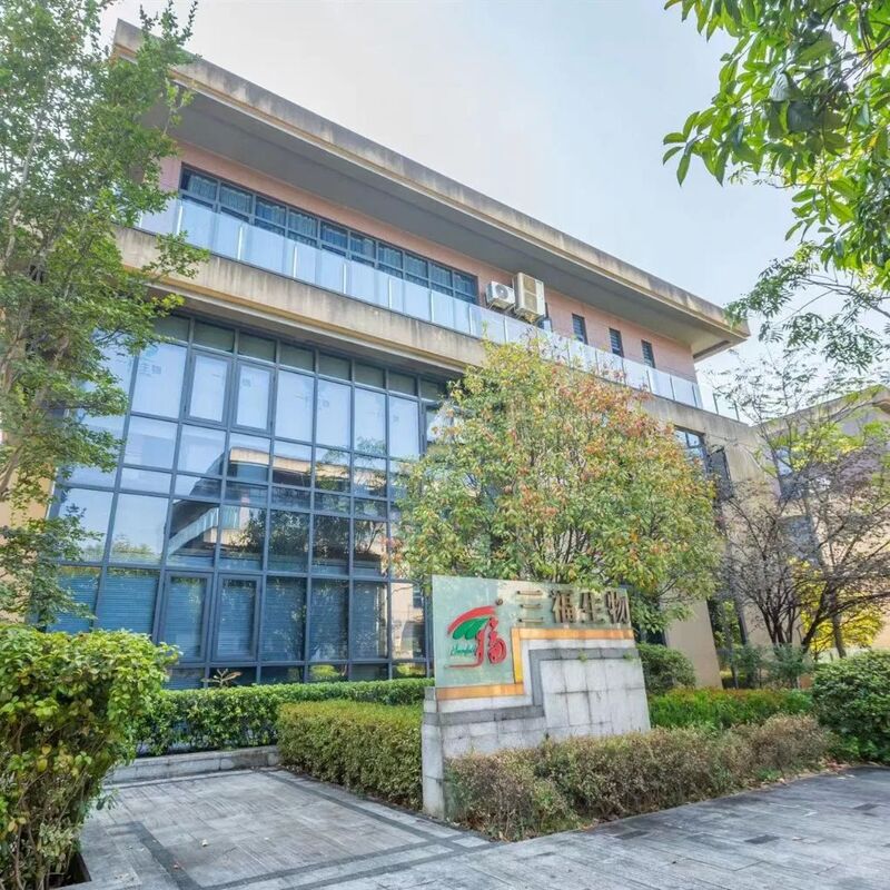 Chaga Extract 50% Polysaccharides for Functional Food to Enhance Immunity as Mushroom Extract Powder