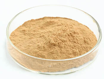 Oyster Mushroom Extract Powder with 50% Polysaccharides for Functional Food and Anti-Tumor Benefits