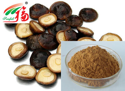 High Quality Shiitake Mushroom Extract 50% Lentinan Brown Yellow Powder for Food and Medicine Applications