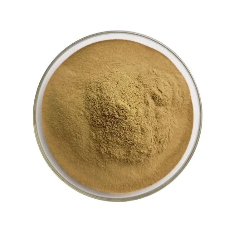 Enoki Mushroom Extract Powder with 20% Polysaccharides for Functional Food Grade Soluble in Water