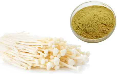 Enoki Mushroom Extract 40% Polysaccharides Food Grade Soluble in Water for Functional Food and Health Care