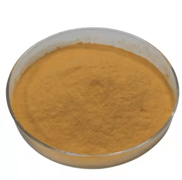 Poria Cocos Extract 10% Polysaccharides Fine Brown Yellow Powder for Functional Food and Health Care