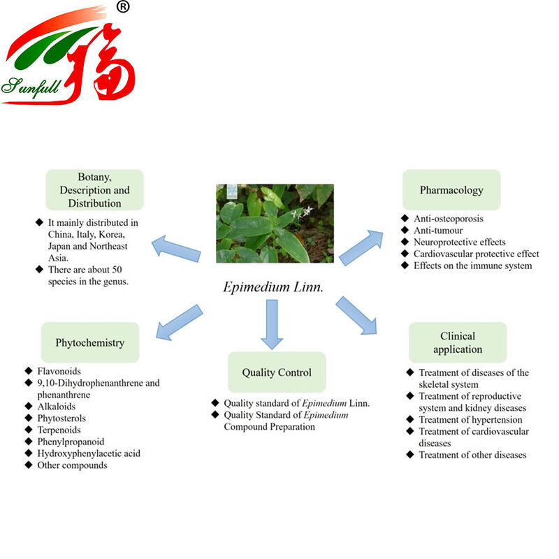 Factory Direct 100% Natural Epimedium Extract 30% Icariins for Sex-Enhancer and Health Supplements