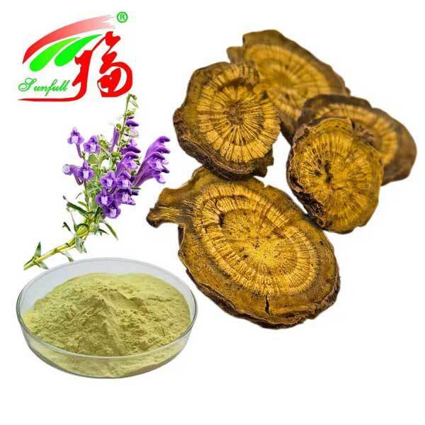 Health Care Ingredients 10%~95% Baicalin Baicalein Powder Scutellaria baicalensis Georgi Extract Radix Scutellariae Extract Baikal Skullcap Extract