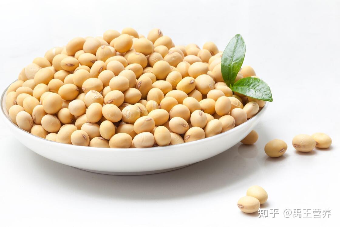 Soy Isoflavones Extract Powder – Natural Phytoestrogen from Soybean for Nutraceutical & Functional Food Applications