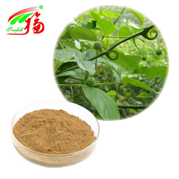 Gou Teng Uncaria Rhynchophylla Extract Isorhynchophylline Rhynchophylline Chinese Herbal Medicine Uncaria Gambir 3% Alkaloids