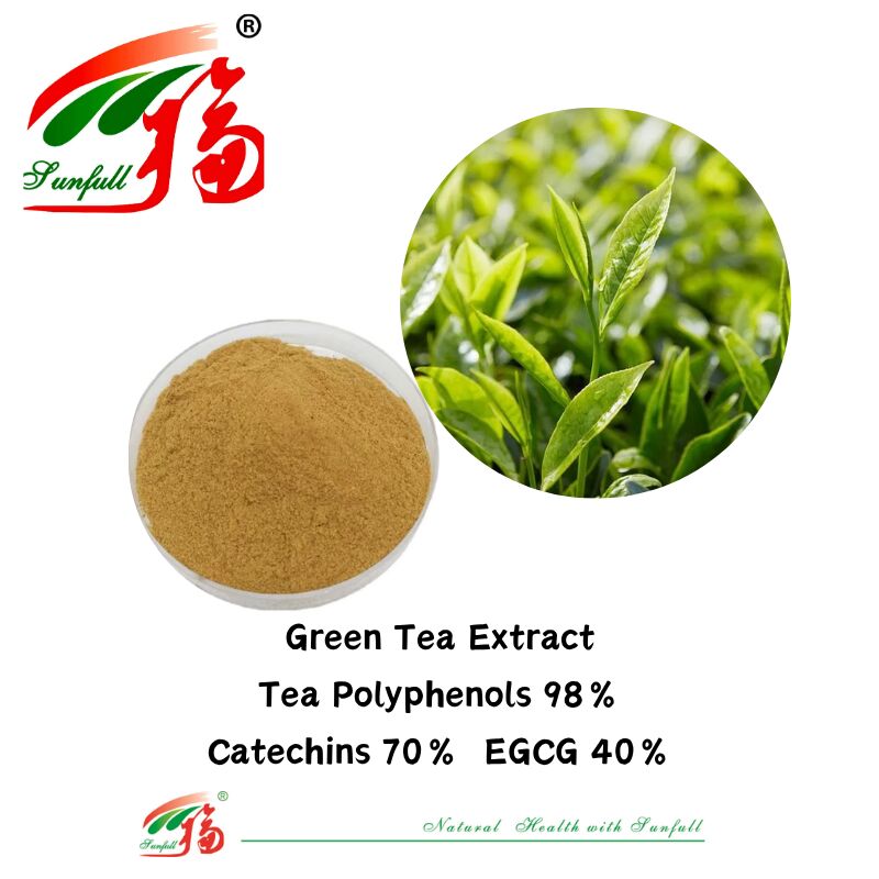 Hunan Sunfull Organic Herbal Ingredients Theaflavins 10~40% EGCG 40% Catechins 70% Tea Polyphenols 98% Green Tea Extract