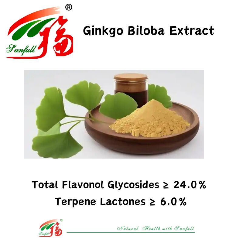 100% Natural Water Soluble 24% Ginkgolides Ginkgo Biloba Leaf Extract Powder for Dietary Supplements