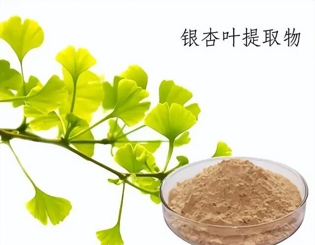100% Natural Water Soluble 24% Ginkgolides Ginkgo Biloba Leaf Extract Powder for Dietary Supplements