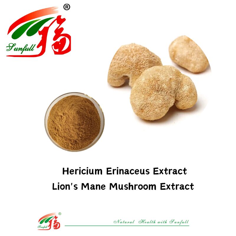 Hunan Sunfull Dietary Supplements Agaricus Subrufescens/Hericium Erinaceus/Antrodia/Cordyceps Sinensis/Coriolus Versicolor/Mushroom Extract Powder